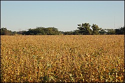 DSC_0022.JPG