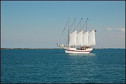 DSC_0040.JPG