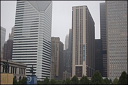 DSC_0246.JPG