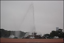 DSC_0250.JPG