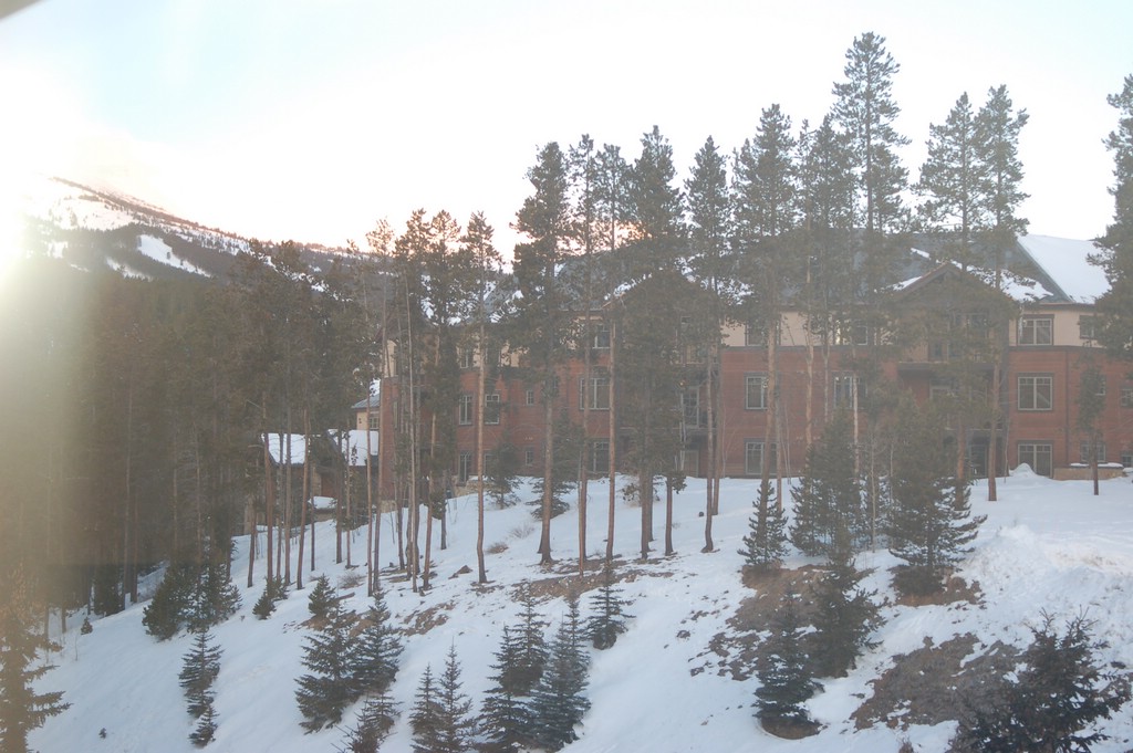 DSC_0003.JPG