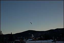 DSC_0016.JPG