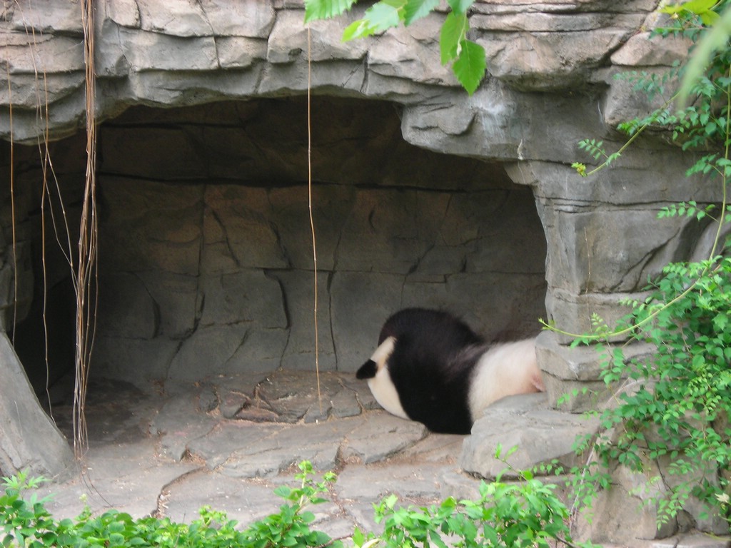 1DSCN0165.JPG