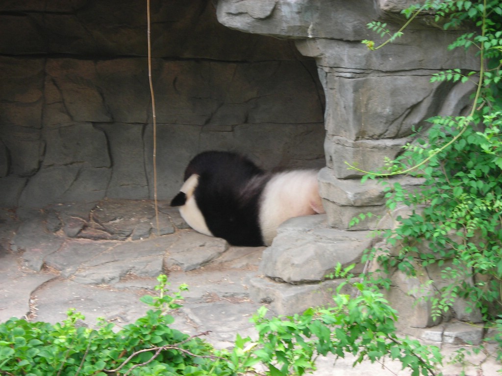 1DSCN0166.JPG