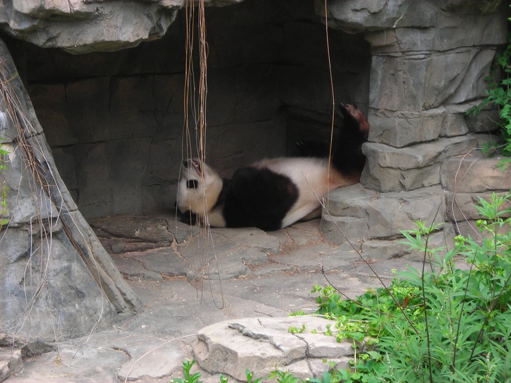 1DSCN0167.JPG