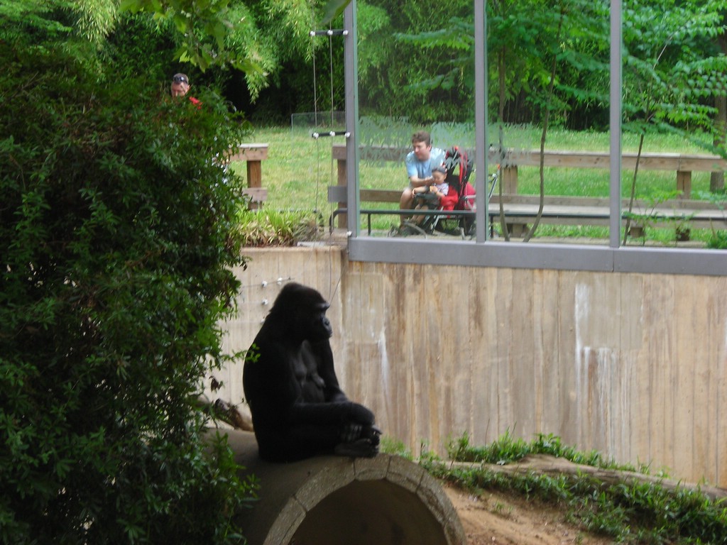 1DSCN0168.JPG