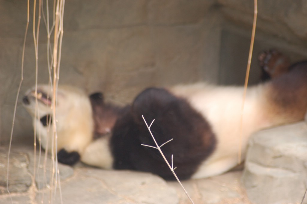 DSC_0015.JPG