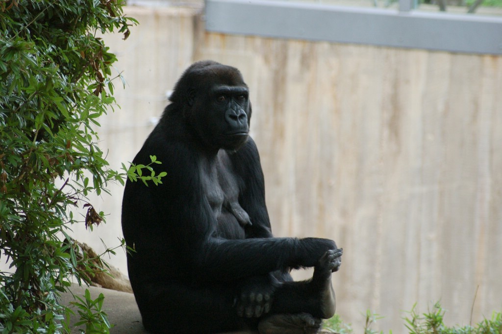 DSC_0019.JPG
