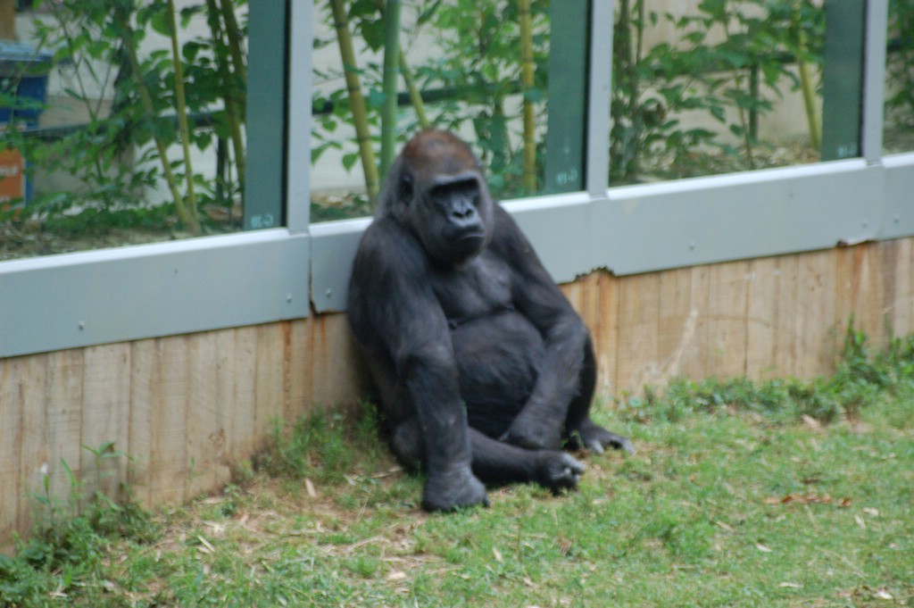 DSC_0023.JPG