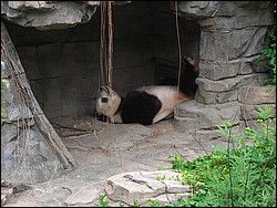 1DSCN0167.JPG