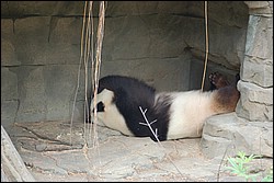 DSC_0016.JPG
