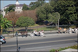 DSC_0065.JPG