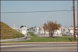 DSC_0080.JPG