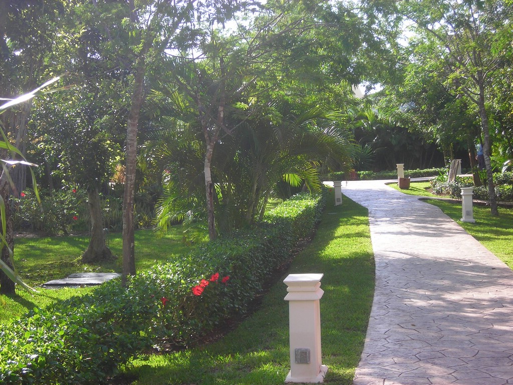 DSCN0400.JPG