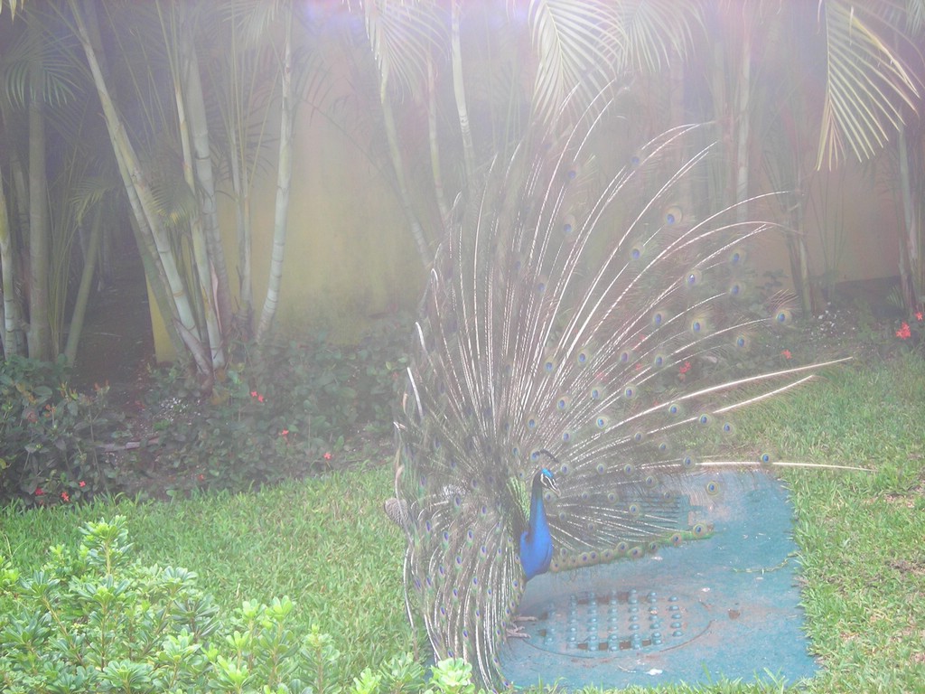 DSCN0402.JPG