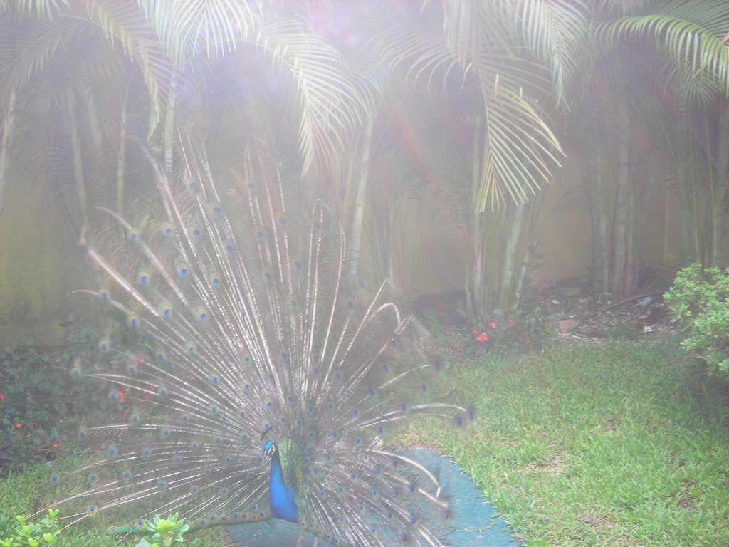 DSCN0403.JPG