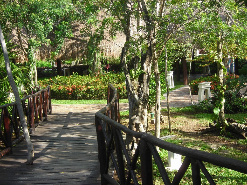 DSCN0404.JPG