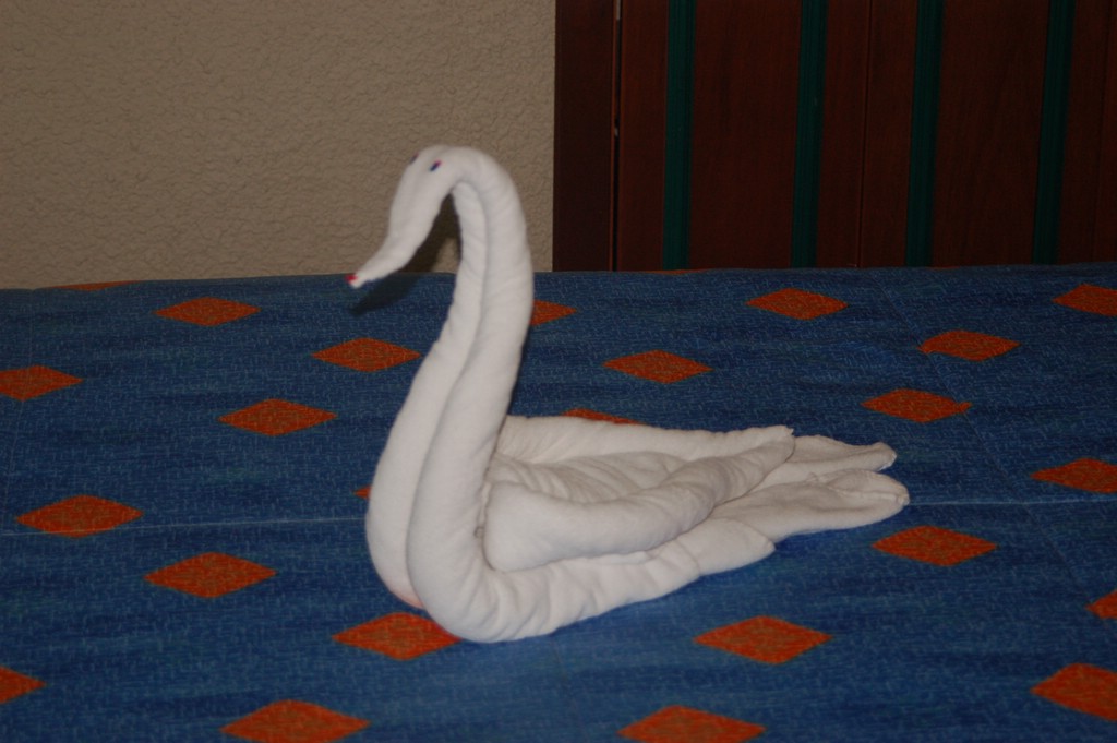 DSC_0001.JPG