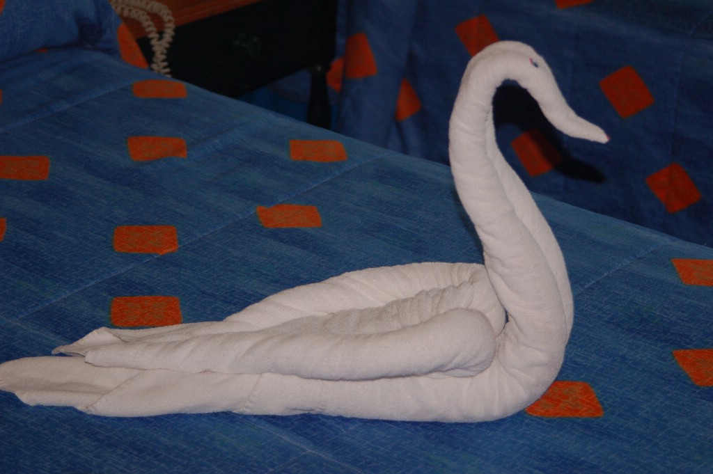DSC_0002.JPG