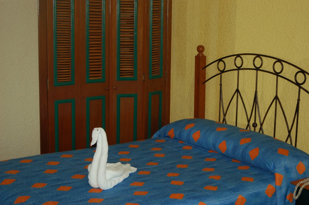 DSC_0006.JPG