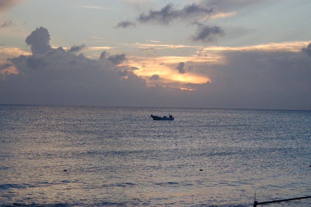 DSC_0039.JPG