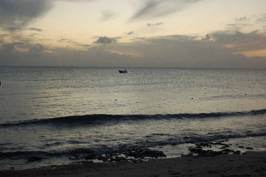 DSC_0053.JPG