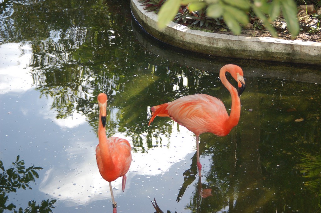 DSC_0067.JPG