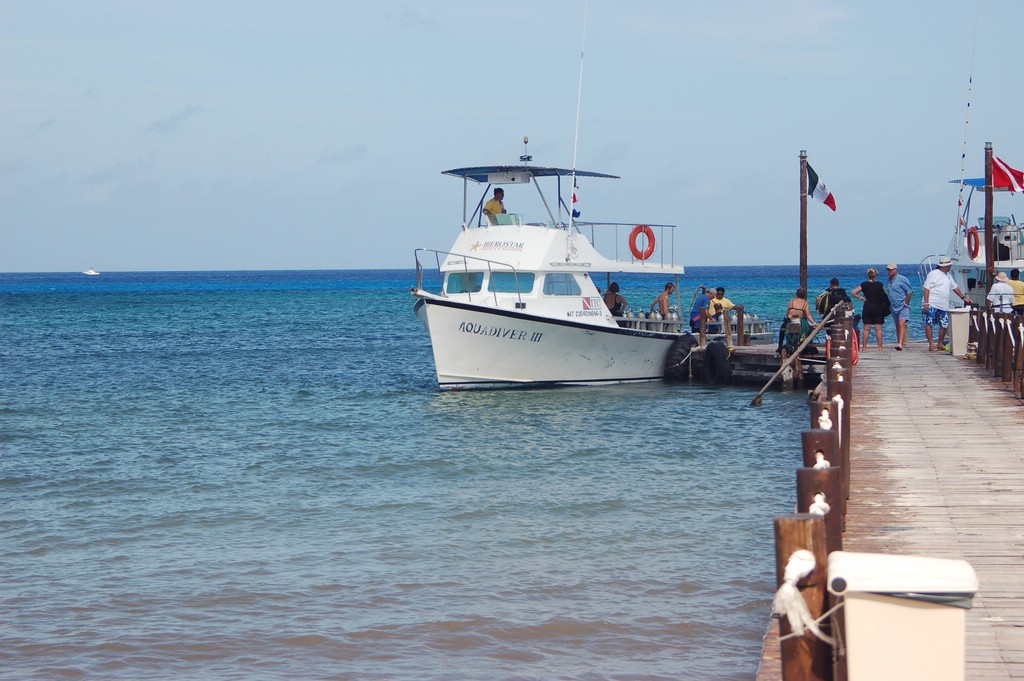 DSC_0114.JPG