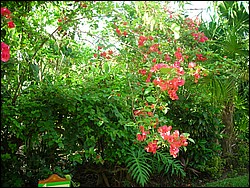 DSCN0398.JPG