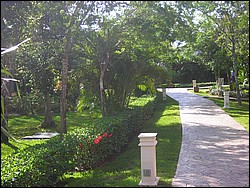 DSCN0400.JPG