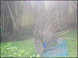 DSCN0402.JPG