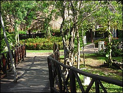 DSCN0404.JPG