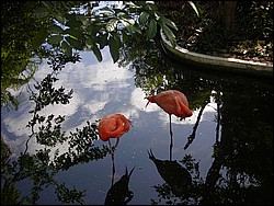 DSCN0406.JPG