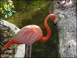 DSCN0408.JPG