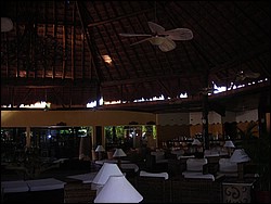 DSCN0411.JPG