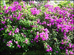 DSCN0412.JPG