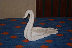 DSC_0001.JPG