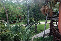 DSC_0014.JPG