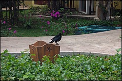 DSC_0017.JPG