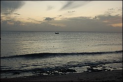 DSC_0053.JPG