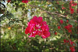 DSC_0060.JPG