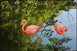 DSC_0068.JPG