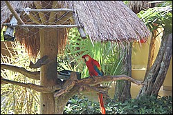 DSC_0091.JPG