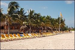 DSC_0112.JPG