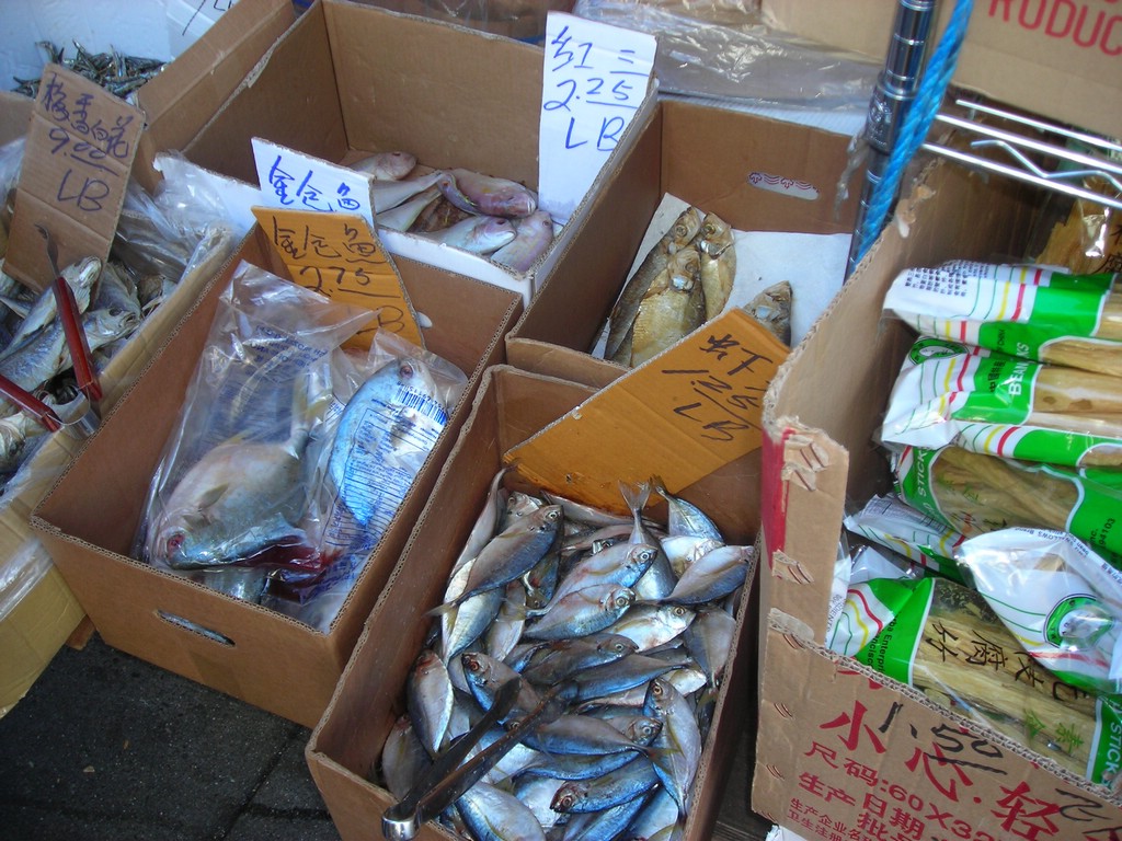DSCN0451.JPG