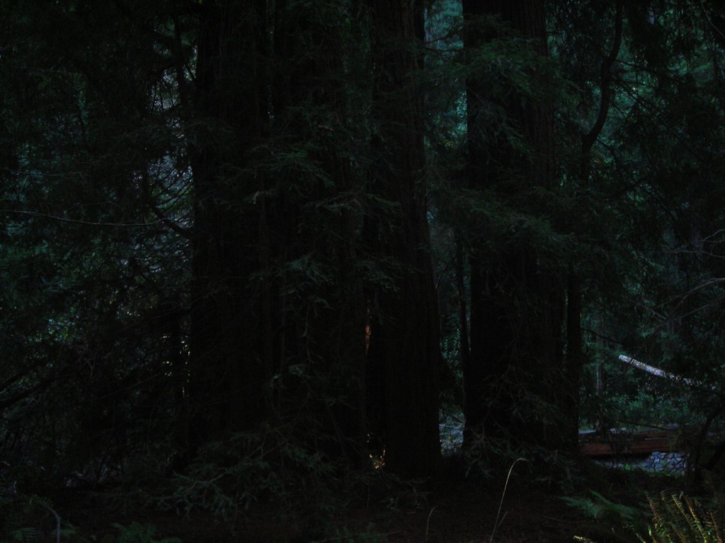 DSCN0456.JPG
