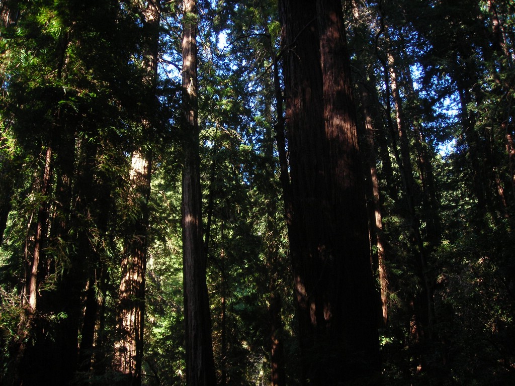 DSCN0457.JPG