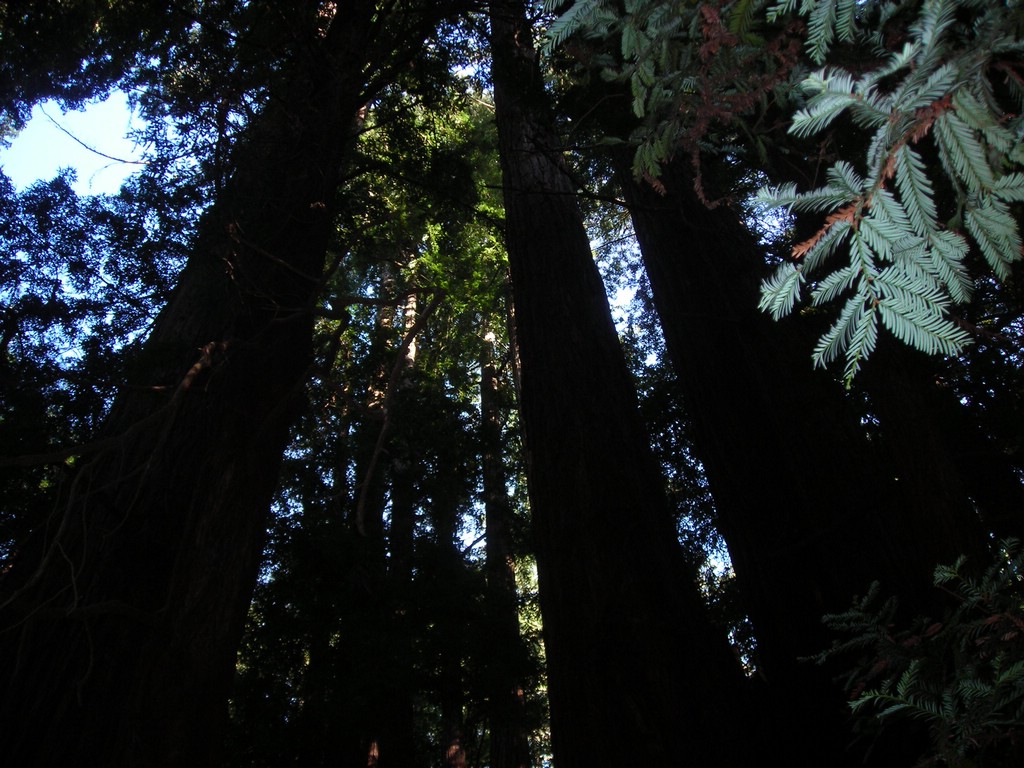 DSCN0458.JPG