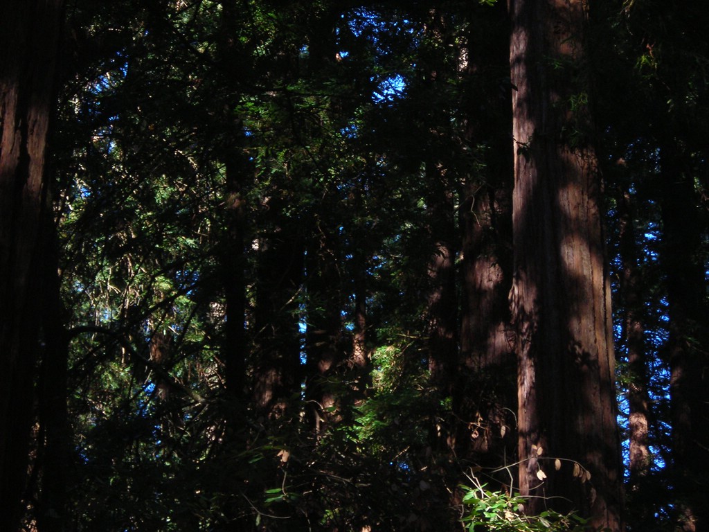 DSCN0464.JPG