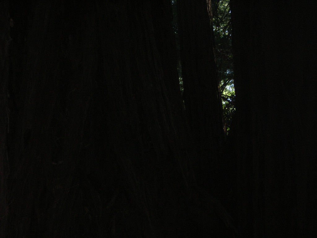 DSCN0466.JPG